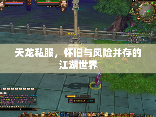 天龙私服，怀旧与风险并存的江湖世界