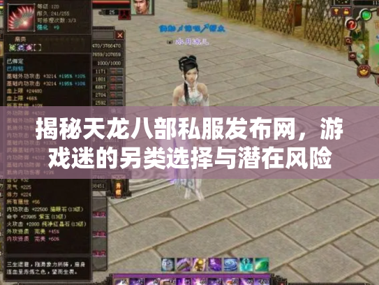 揭秘天龙八部私服发布网，游戏迷的另类选择与潜在风险