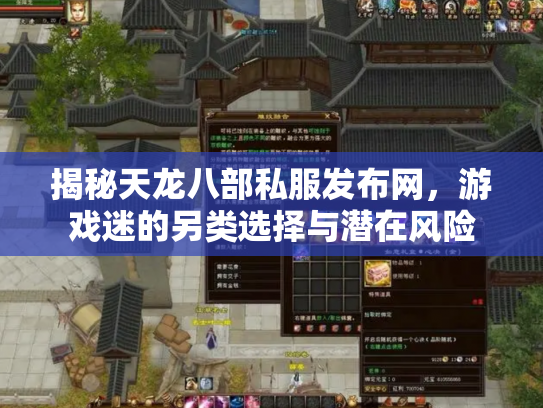 揭秘天龙八部私服发布网，游戏迷的另类选择与潜在风险