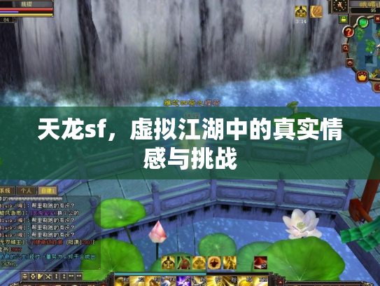 天龙sf，虚拟江湖中的真实情感与挑战
