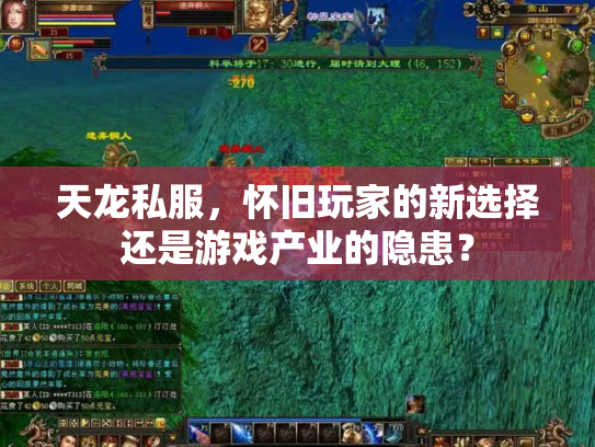 天龙私服，怀旧玩家的新选择还是游戏产业的隐患？