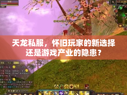 天龙私服，怀旧玩家的新选择还是游戏产业的隐患？