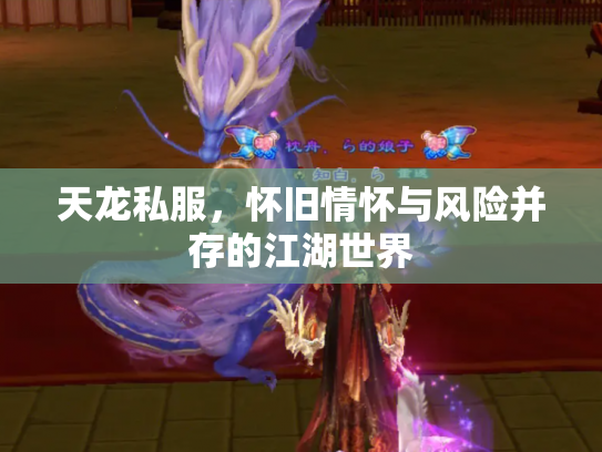天龙私服，怀旧情怀与风险并存的江湖世界