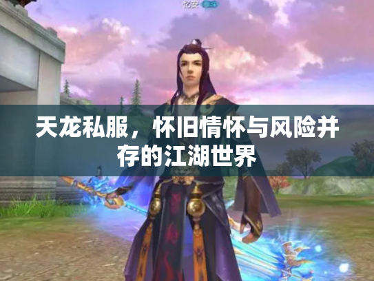 天龙私服，怀旧情怀与风险并存的江湖世界
