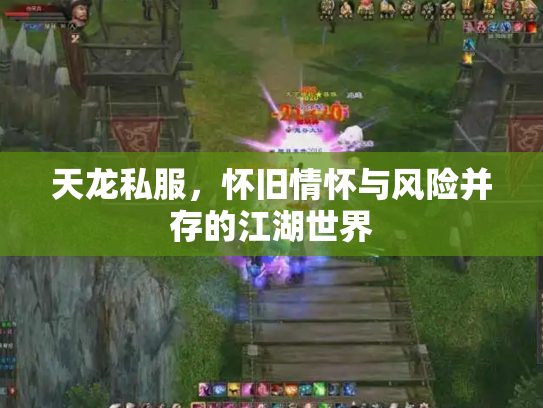天龙私服，怀旧情怀与风险并存的江湖世界