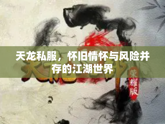 天龙私服，怀旧情怀与风险并存的江湖世界