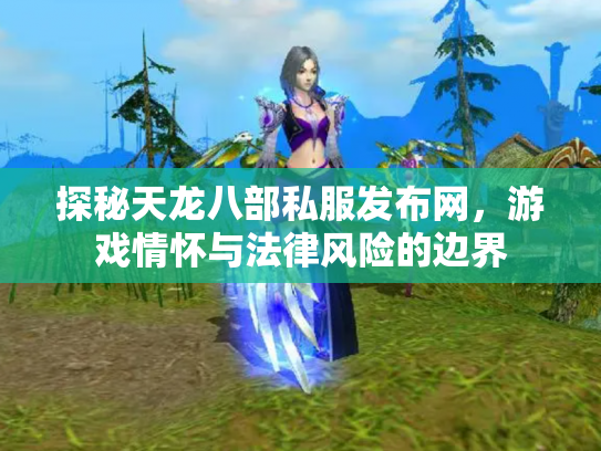 探秘天龙八部私服发布网，游戏情怀与法律风险的边界