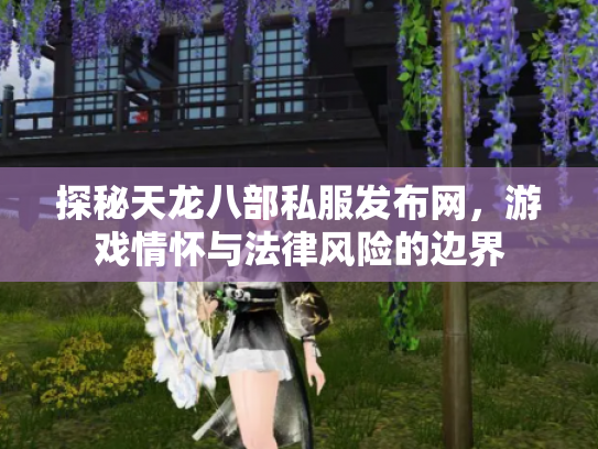 探秘天龙八部私服发布网，游戏情怀与法律风险的边界