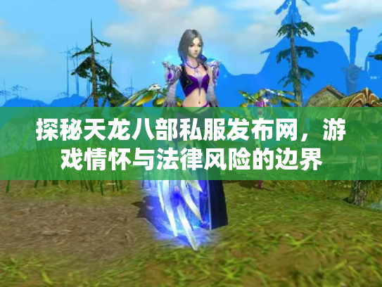 探秘天龙八部私服发布网，游戏情怀与法律风险的边界