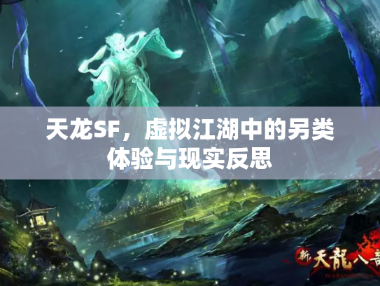 天龙SF，虚拟江湖中的另类体验与现实反思
