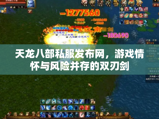 天龙八部私服发布网，游戏情怀与风险并存的双刃剑
