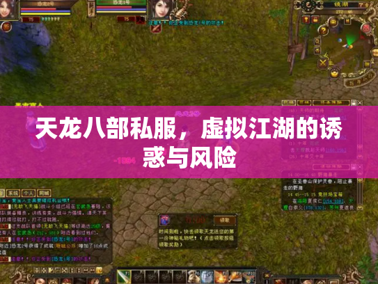 天龙八部私服，虚拟江湖的诱惑与风险