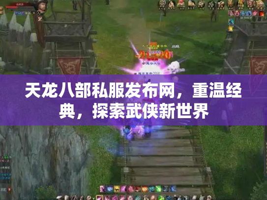 天龙八部私服发布网，重温经典，探索武侠新世界