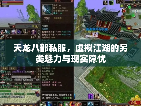 天龙八部私服，虚拟江湖的另类魅力与现实隐忧