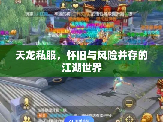 天龙私服，怀旧与风险并存的江湖世界