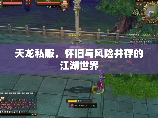 天龙私服，怀旧与风险并存的江湖世界