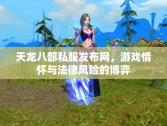 天龙八部私服发布网，游戏情怀与法律风险的博弈
