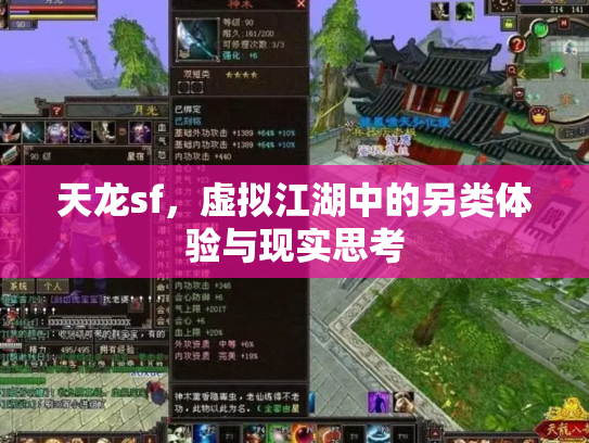 天龙sf，虚拟江湖中的另类体验与现实思考