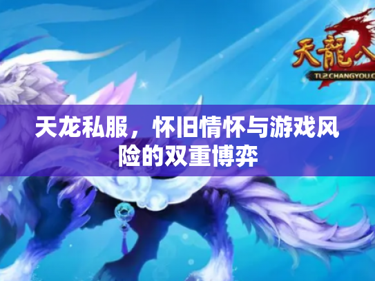 天龙私服，怀旧情怀与游戏风险的双重博弈