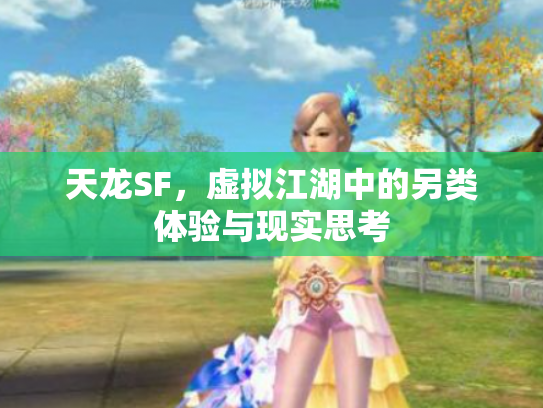 天龙SF，虚拟江湖中的另类体验与现实思考