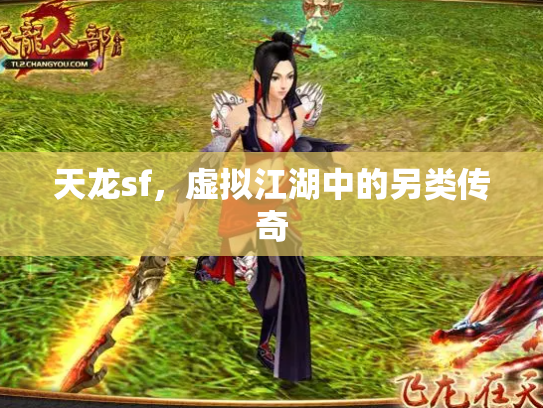 天龙sf，虚拟江湖中的另类传奇