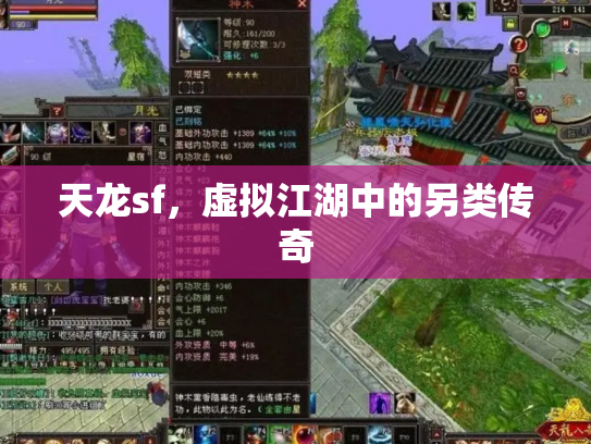 天龙sf，虚拟江湖中的另类传奇