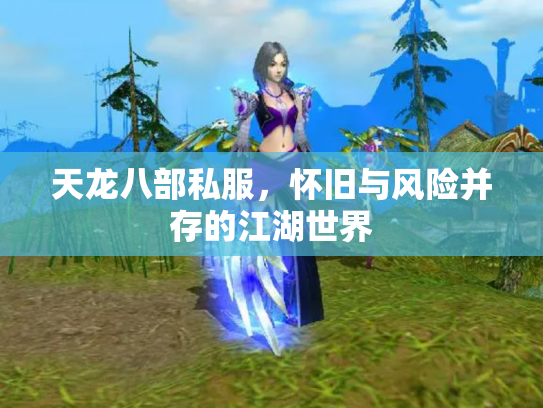 天龙八部私服，怀旧与风险并存的江湖世界