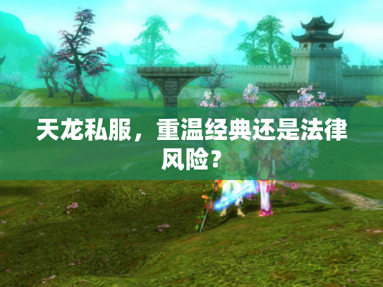 天龙私服，重温经典还是法律风险？