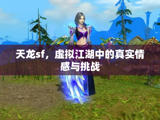 天龙sf，虚拟江湖中的真实情感与挑战