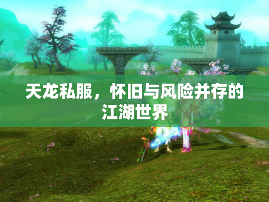 天龙私服，怀旧与风险并存的江湖世界