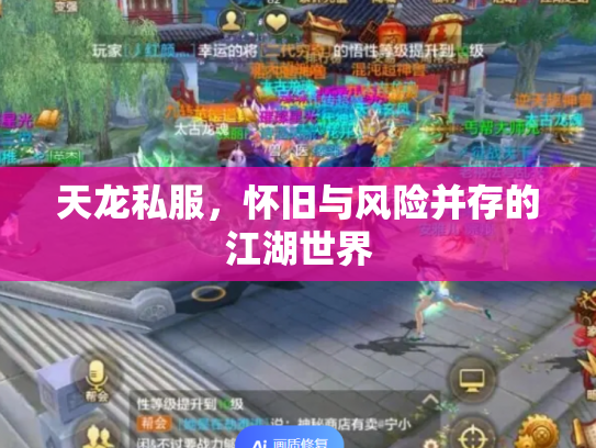 天龙私服，怀旧与风险并存的江湖世界