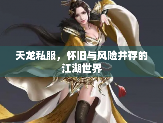天龙私服，怀旧与风险并存的江湖世界