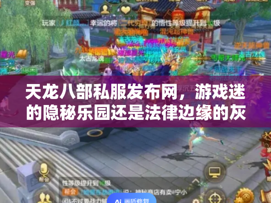 天龙八部私服发布网，游戏迷的隐秘乐园还是法律边缘的灰色地带？