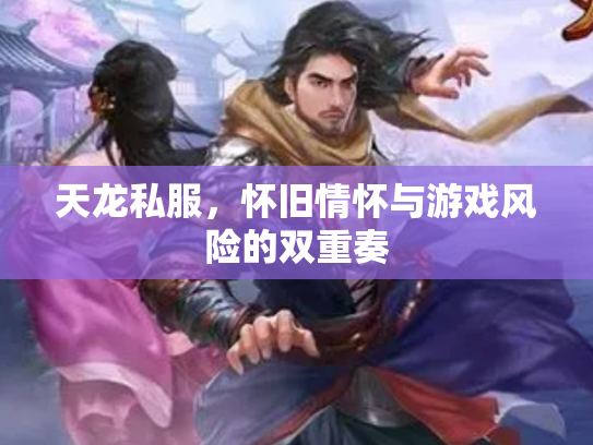 天龙私服，怀旧情怀与游戏风险的双重奏