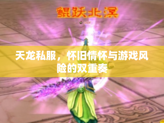 天龙私服，怀旧情怀与游戏风险的双重奏