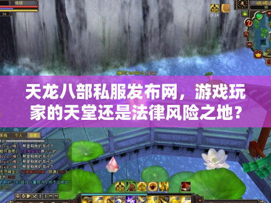 天龙八部私服发布网，游戏玩家的天堂还是法律风险之地？
