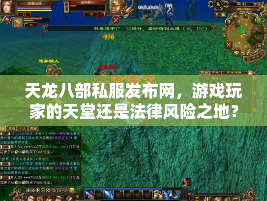 天龙八部私服发布网，游戏玩家的天堂还是法律风险之地？