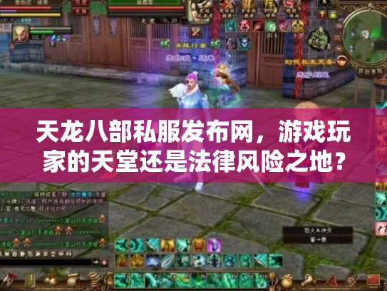 天龙八部私服发布网，游戏玩家的天堂还是法律风险之地？