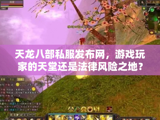 天龙八部私服发布网，游戏玩家的天堂还是法律风险之地？