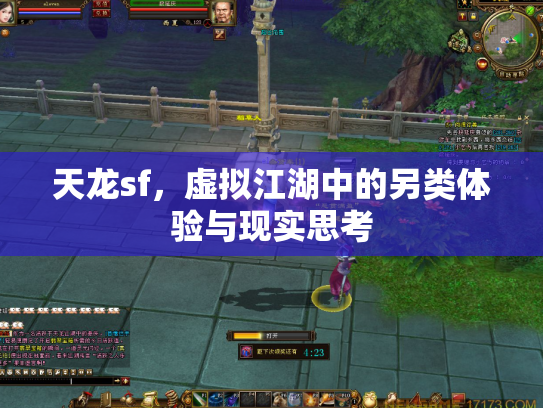 天龙sf，虚拟江湖中的另类体验与现实思考