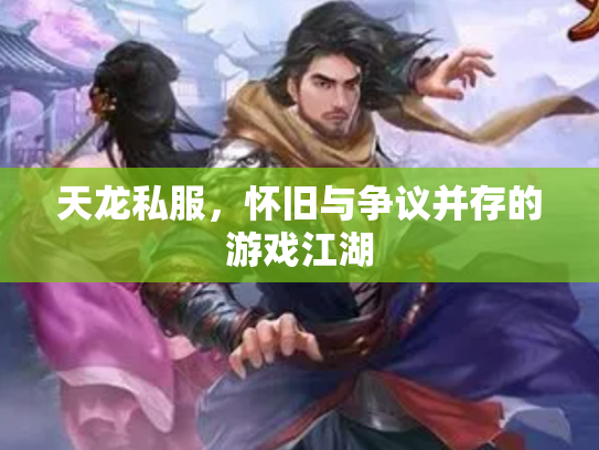 天龙私服，怀旧与争议并存的游戏江湖