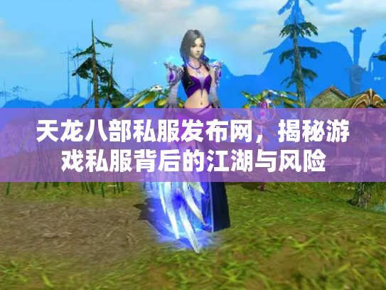 天龙八部私服发布网，揭秘游戏私服背后的江湖与风险