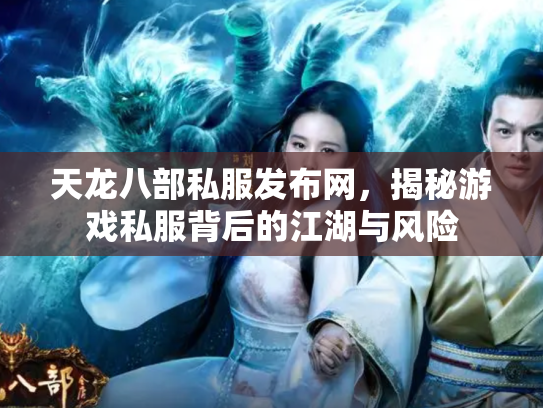 天龙八部私服发布网，揭秘游戏私服背后的江湖与风险