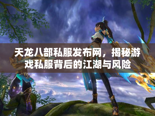 天龙八部私服发布网，揭秘游戏私服背后的江湖与风险