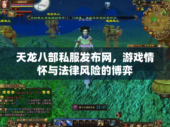 天龙八部私服发布网，游戏情怀与法律风险的博弈