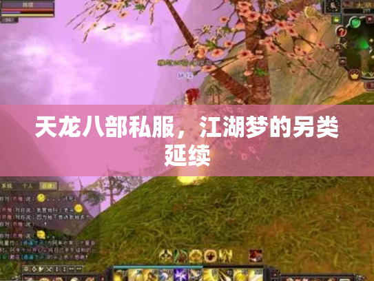 天龙八部私服，江湖梦的另类延续