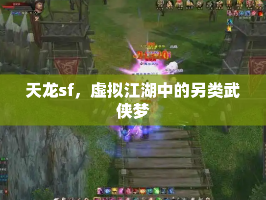 天龙sf，虚拟江湖中的另类武侠梦