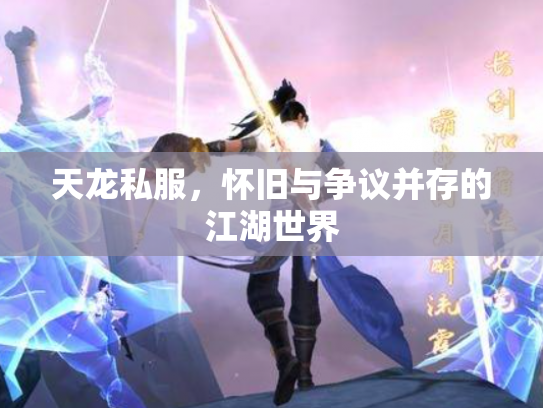 天龙私服，怀旧与争议并存的江湖世界