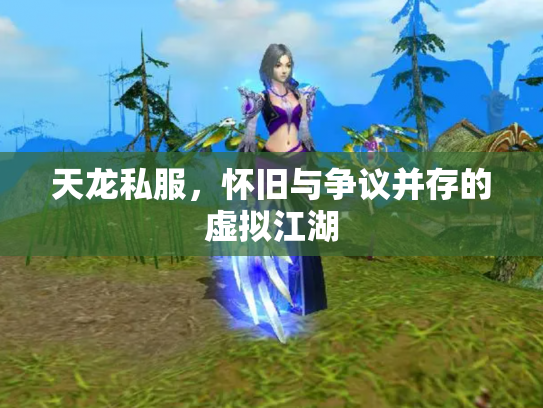 天龙私服，怀旧与争议并存的虚拟江湖