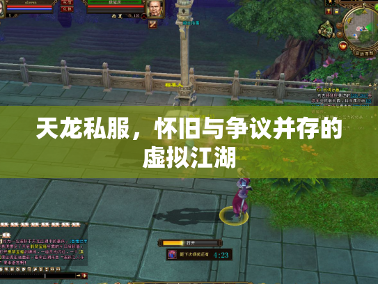 天龙私服，怀旧与争议并存的虚拟江湖